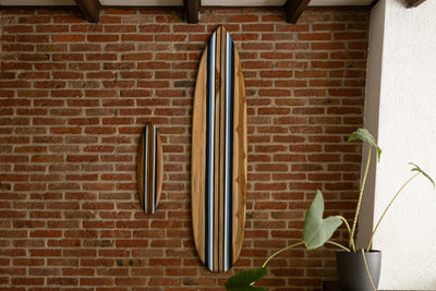Tidez Bluebird 160cm
