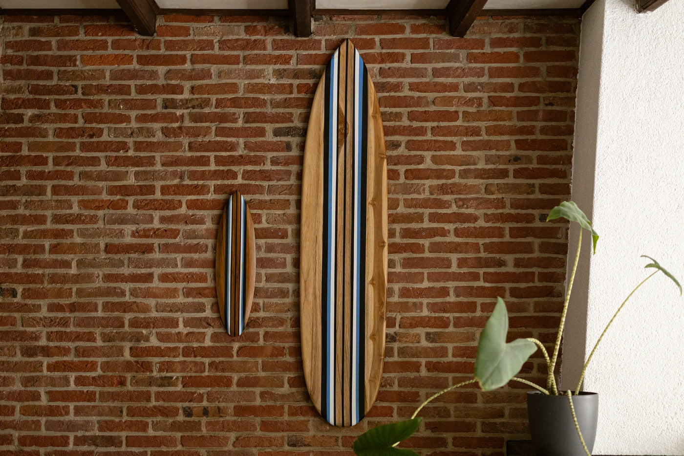 Tidez Bluebird 60cm