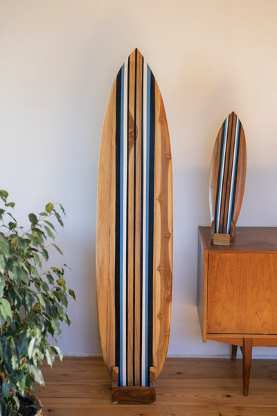 Tidez Bluebird 160cm