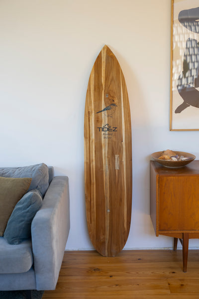 Tidez Bluebird 160cm