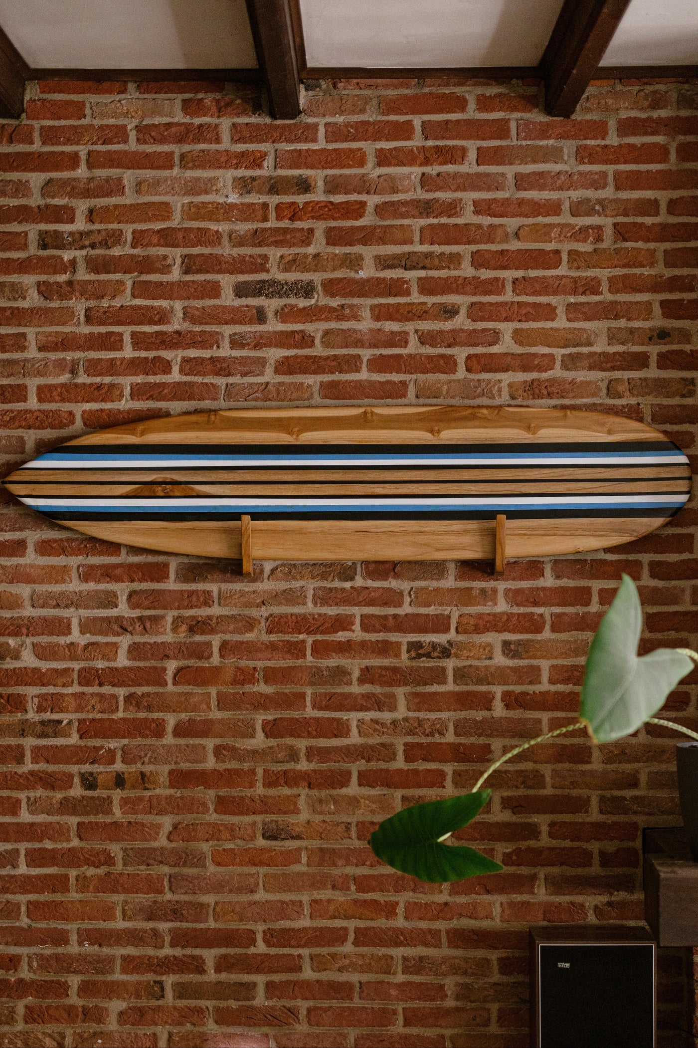 Tidez Bluebird 160cm