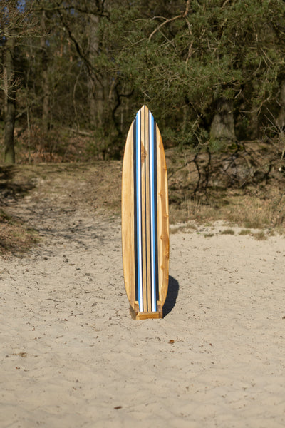 Tidez Bluebird 160cm