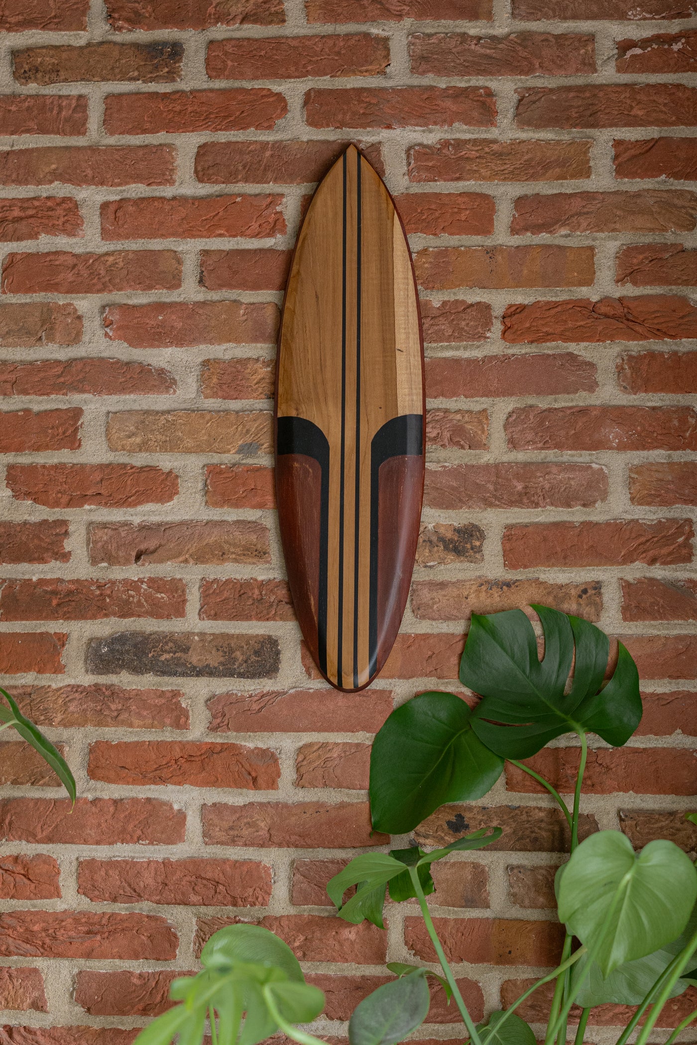 Tidez Red Rail 60cm