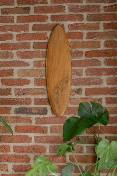 Tidez Plain Swift 60cm